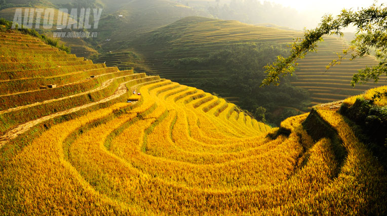 Kiệt t&aacute;c ruộng bậc thang M&ugrave; Cang Chải